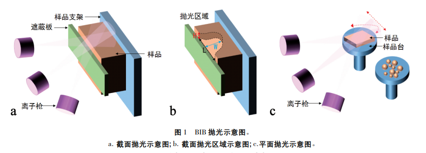一分鐘了解氬離子拋光與離子減薄的異同