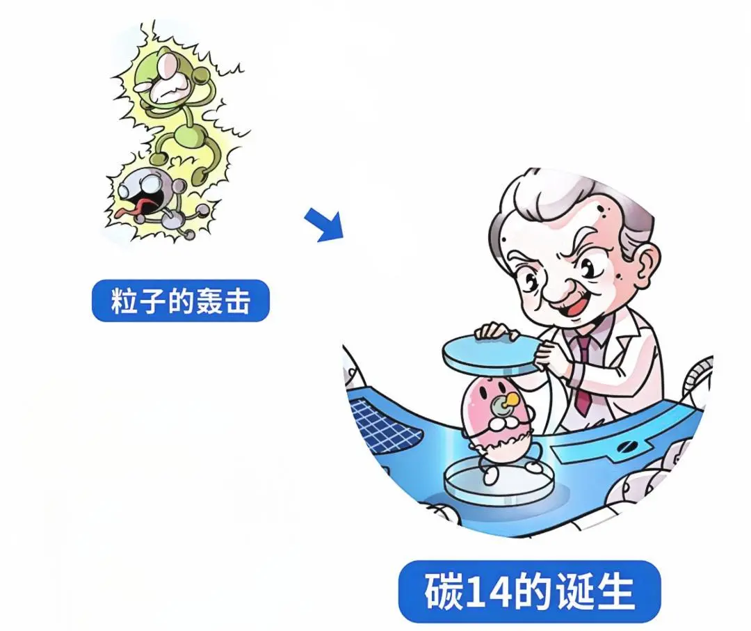 碳14的應(yīng)用
